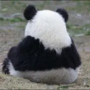 kanaママの画像