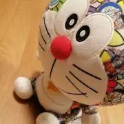 ソチの画像