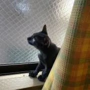 Miの画像