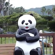 だかの画像