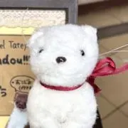 はるまきの画像