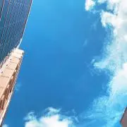 yukiの画像