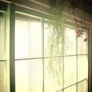 ⁑lalala⁑の画像