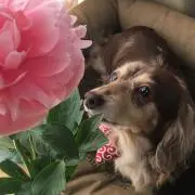 はるさら★プロフお読みくださいの画像