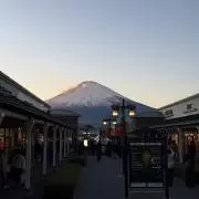 ROYの画像