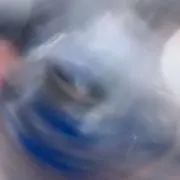 Raiの画像