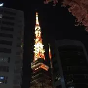 MERY(メリー)【プロフ必読】の画像