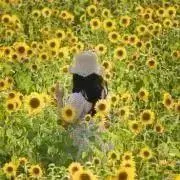 あさまるの画像