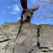 あおそら