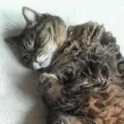 ふくちゃん