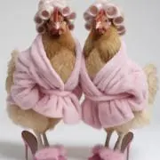 ドラミの画像