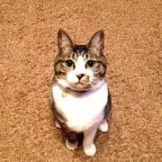 ちゅうねん