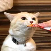 ヒデ