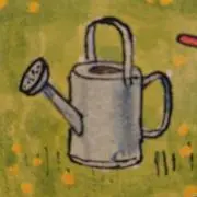KIKKIの画像