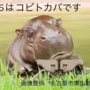 真剣佑