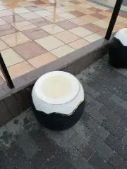 こたこたの画像