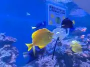 神田⚠プロフ一読の画像