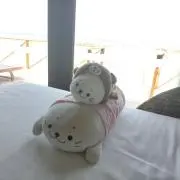 しろ