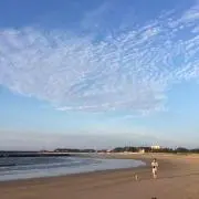 チャビ