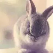 ふゆ