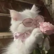 me._.の画像