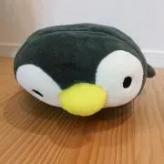 takaの画像
