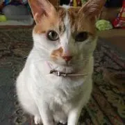 タロさん