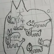 12の画像