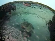 こん