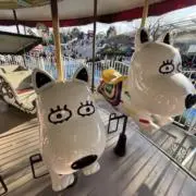 かか