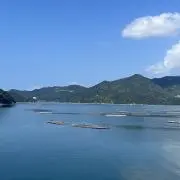 シナモン☆の画像