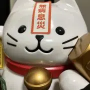 トラさんの画像