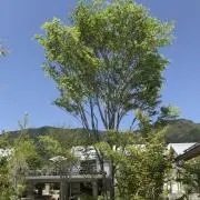 mong《まとめ買い歓迎》の画像