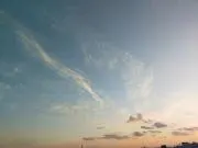 ワイ