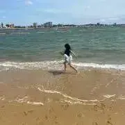 アラレ