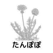 たんぽぽの画像