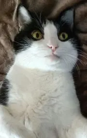 5たろうの画像