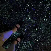 うにの画像