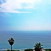 さか