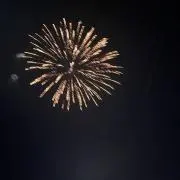 たまごの画像