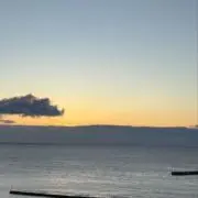 りこの画像