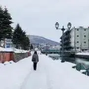 kの画像
