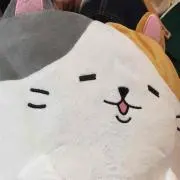 まったり猫の画像