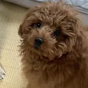 なっちゃん