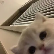 Loveusoの画像
