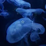 佐藤