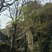 ゆあの画像