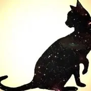 SEND@プロフ見てね！