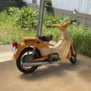 グリーン365