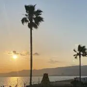 Rの画像